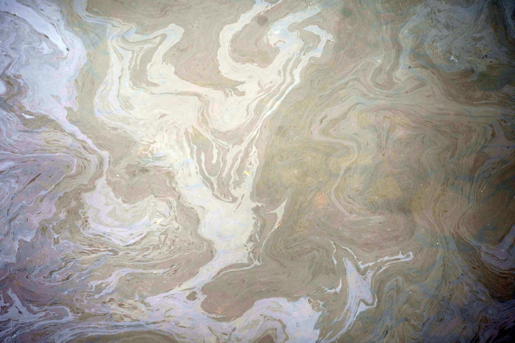 HOUSIOIL-1.jpg